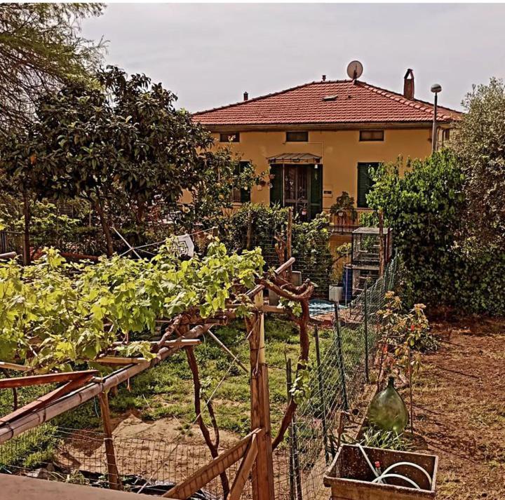 Casa Vacanze Toscana,Lago Di Massaciuccoli 外观 照片
