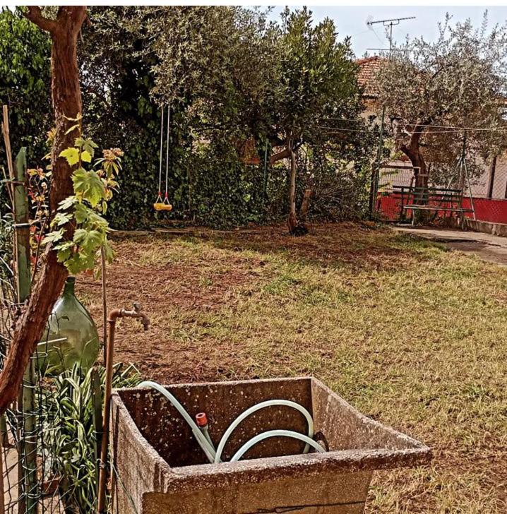 Casa Vacanze Toscana,Lago Di Massaciuccoli 外观 照片