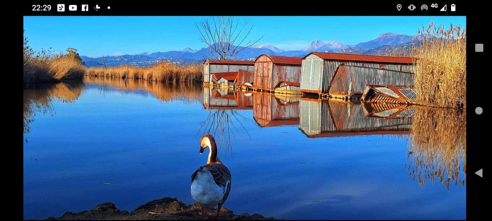 Casa Vacanze Toscana,Lago Di Massaciuccoli 外观 照片